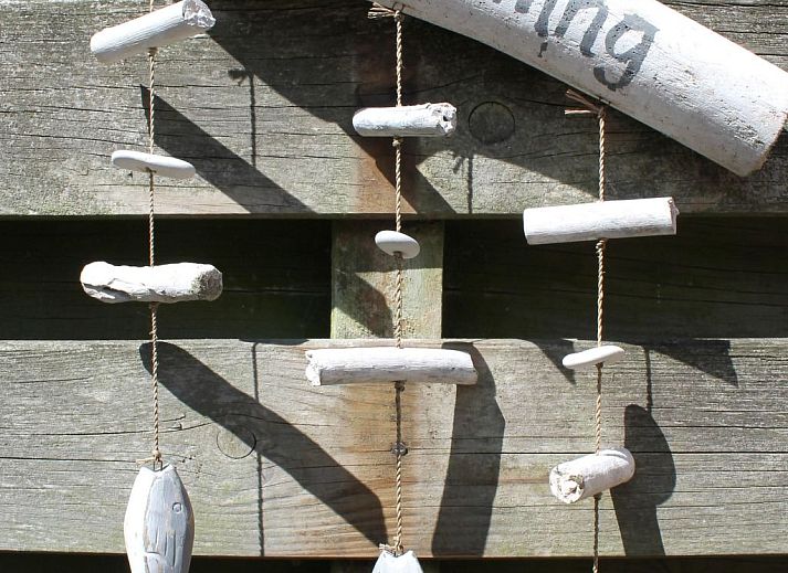 Unterkunft 4503153 - Ferienhaus Noordzeekust - Vakantiehuis Sommerhaus "De Zeester"