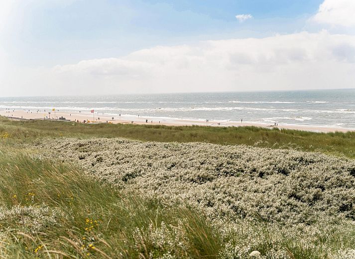 Verblijf 4503154 - Vakantiewoning Noordzeekust - Helmgras I