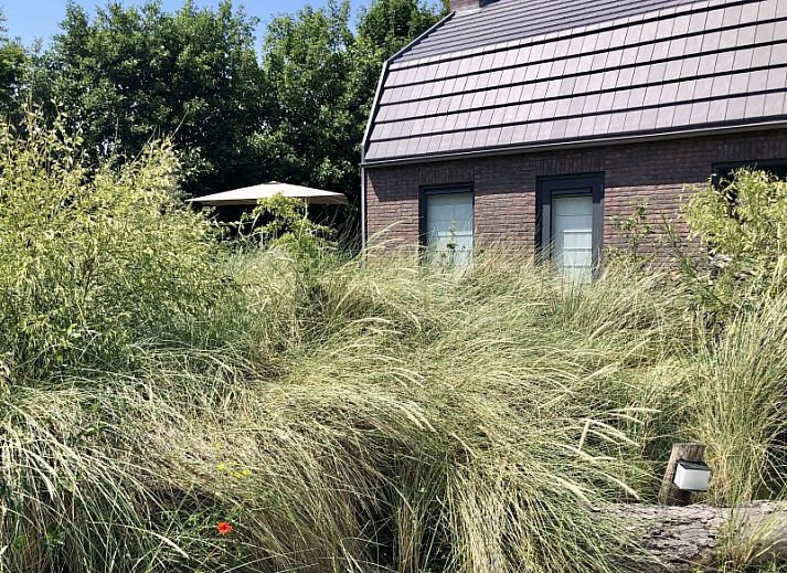 Unterkunft 4503199 - Ferienhaus Noordzeekust - Vakantiehuis Klein Geluk