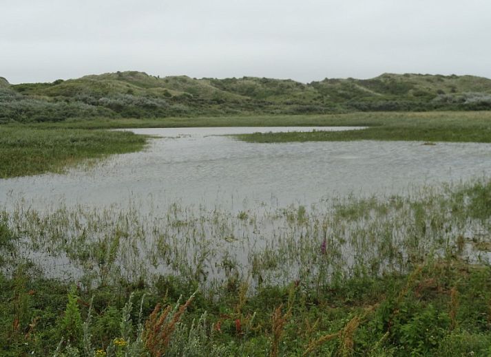 Verblijf 4503209 - Vakantiewoning Noordzeekust - Zomerhuis Ruiter
