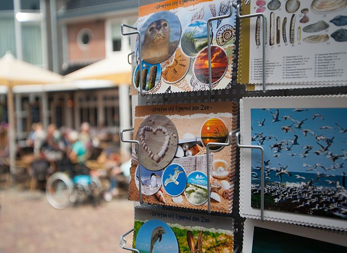 Unterkunft 4503241 - Ferienhaus Noordzeekust - HuizeDuin