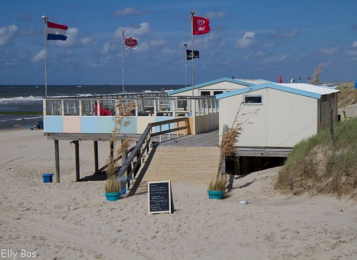 Unterkunft 450401 - Bungalow Noordzeekust - Callantsoog de Seinpost nr 9