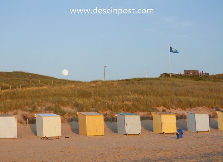 Unterkunft 450401 - Bungalow Noordzeekust - Callantsoog de Seinpost nr 9