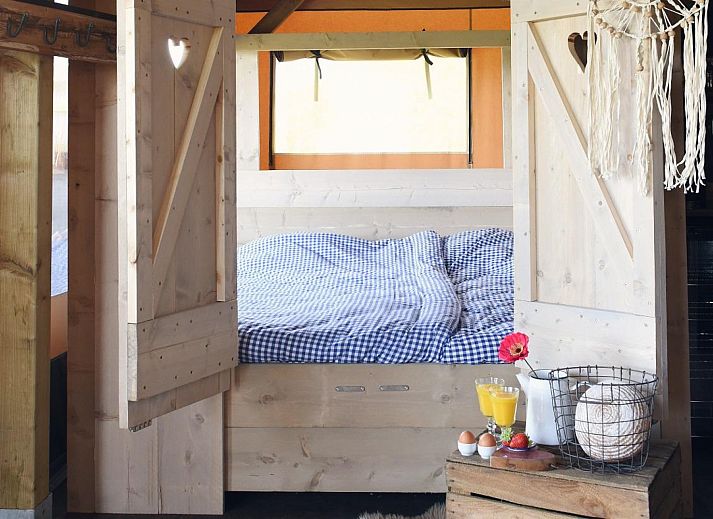 Verblijf 4504118 - Tenthuis Noordzeekust - Beach Lodge Groot