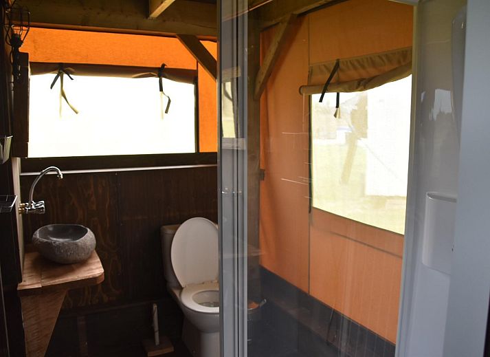 Verblijf 4504118 - Tenthuis Noordzeekust - Beach Lodge Groot