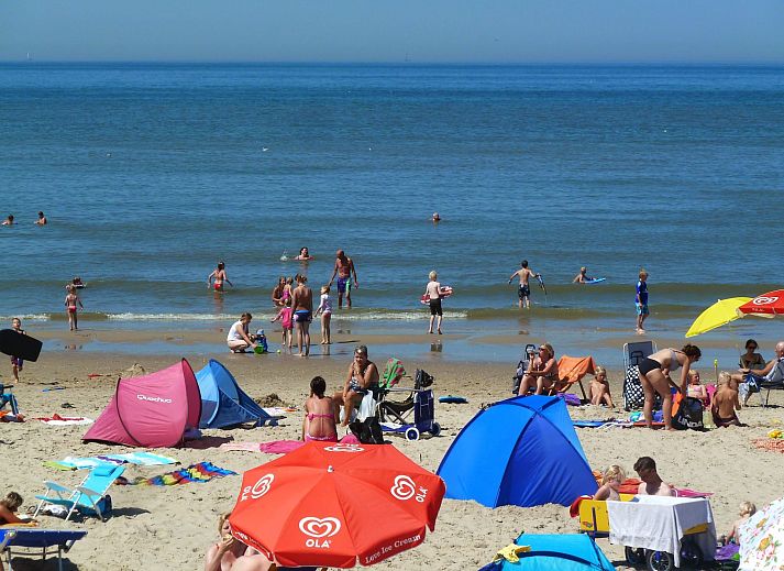 Unterkunft 4504127 - Ferienhaus Noordzeekust - Vakantiehuis Stuivezandeweg 6, Nähe Strand