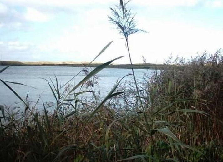 Unterkunft 4504134 - Ferienhaus Noordzeekust - Vakantiehuis Gemütliches Ferienhaus De Blenck