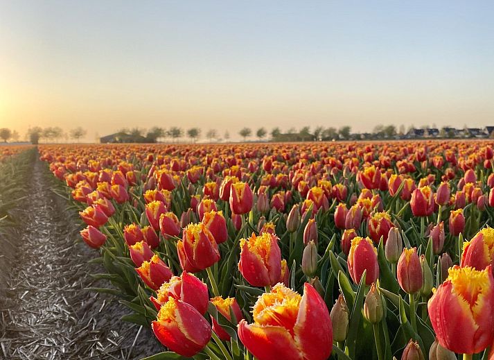 Modernes Wohnzimmer der Duinerei A202 Groote Keeten, Ferienhaus an der Nordseekueste in Callantsoog, Nordholland.