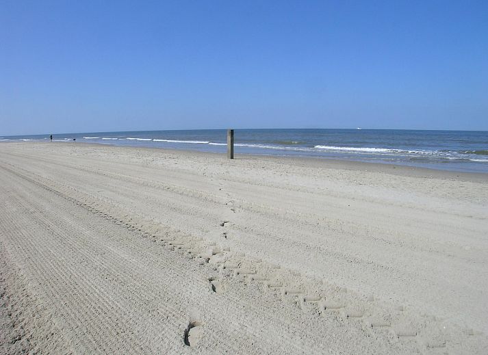 Gemuetliche Terrasse der Duinerei C103 Groote Keeten mit Blick auf die Duenen in Callantsoog, Nordholland.