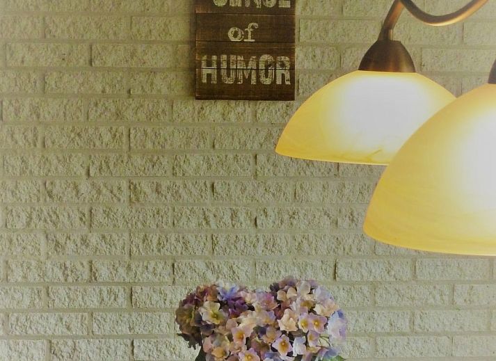 Guest house 4504149 - Holiday property Noordzeekust - Vakantiehuis Gemütlicher Bungalow für 4 Personen