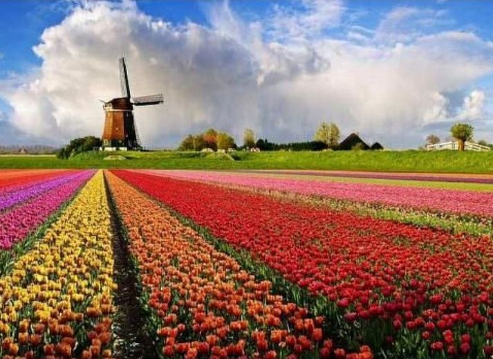 Guest house 4504149 - Holiday property Noordzeekust - Vakantiehuis Gemütlicher Bungalow für 4 Personen