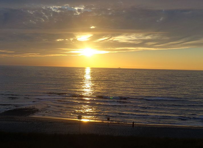 Guest house 4504149 - Holiday property Noordzeekust - Vakantiehuis Gemütlicher Bungalow für 4 Personen