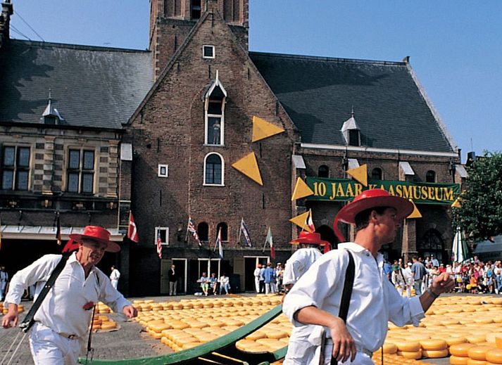 Guest house 4504150 - Holiday property Noordzeekust - Vakantiehuis Ferienbungalow Abbes mit Garten und Terrasse