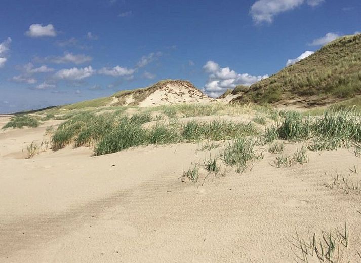 Guest house 4504150 - Holiday property Noordzeekust - Vakantiehuis Ferienbungalow Abbes mit Garten und Terrasse