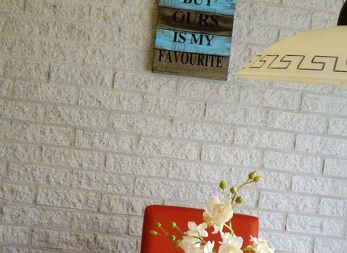 Guest house 4504150 - Holiday property Noordzeekust - Vakantiehuis Ferienbungalow Abbes mit Garten und Terrasse