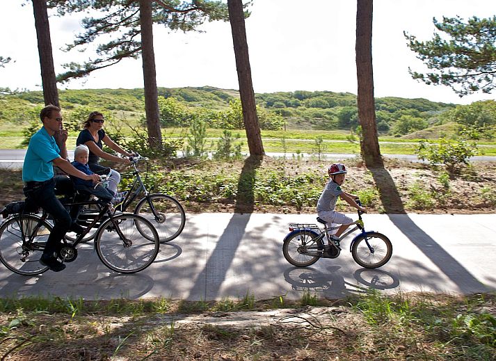 Gemuetliches Wohnzimmer von Sandepark 171 Groote Keeten, Ferienhaus in Callantsoog, ideal fuer Entspannung an der Nordseekueste, Nordholland.