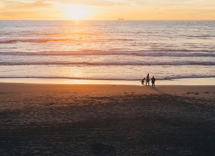 Aussenansicht von Wijde Blick 103 Callantsoog, modernes Ferienhaus an der Nordseekueste, Nordholland.