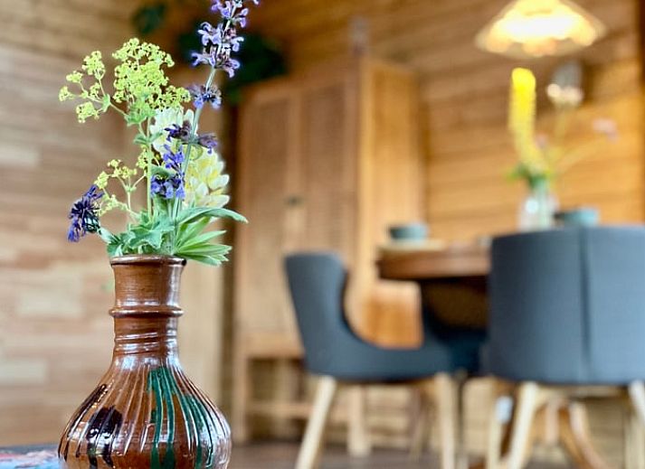 Gemuetliches Interieur des Ferienhauses in Callantsoog, Nordseekueste, Nordholland mit Holzinterieur und modernen Annehmlichkeiten.