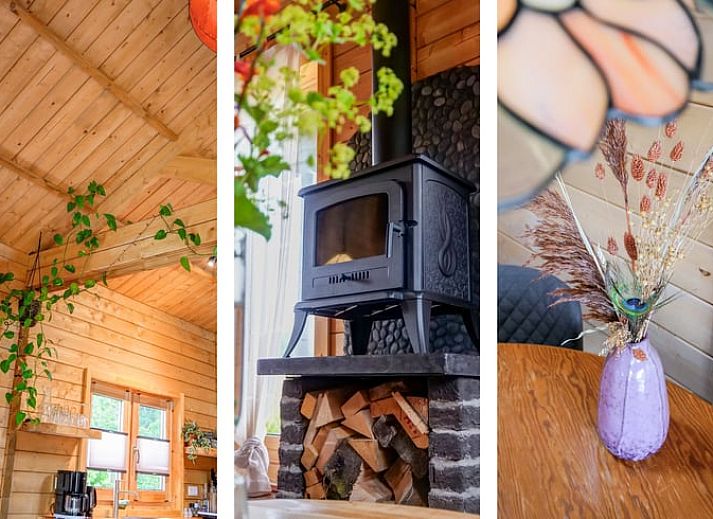 Rustikales Ferienhaus in Callantsoog, Nordseekueste, Nordholland, umgeben von gruener Natur und einer einladenden Terrasse.