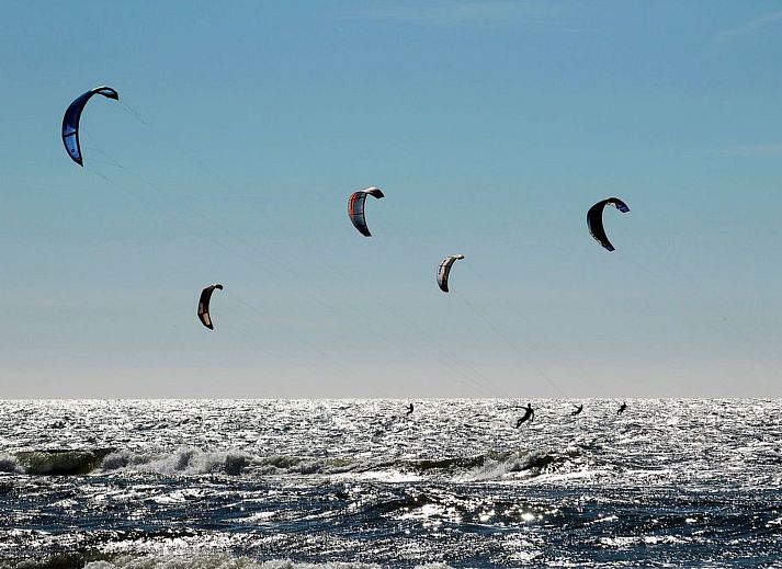 Unterkunft 4504176 - Ferienhaus Noordzeekust - Vakantiehuis "De Korre 4" mit privatem Garten und Terrasse