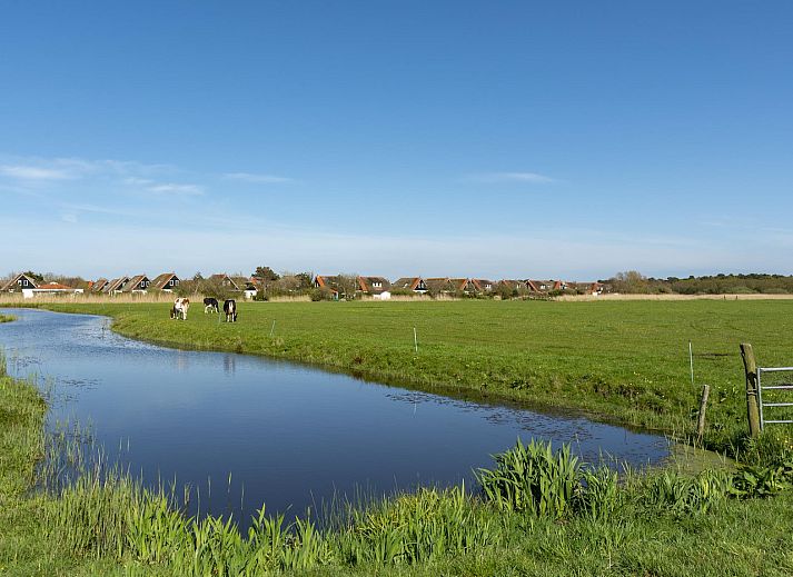 Unterkunft 4504185 - Ferienhaus Noordzeekust - Buitenplaats 113 Callantsoog