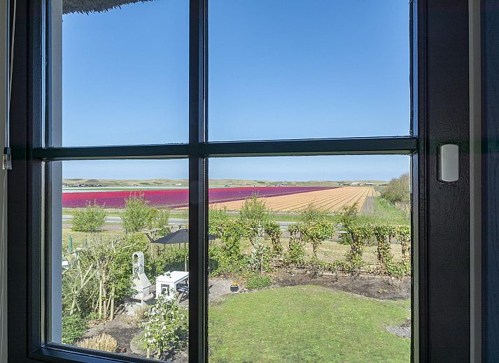Unterkunft 4504185 - Ferienhaus Noordzeekust - Buitenplaats 113 Callantsoog