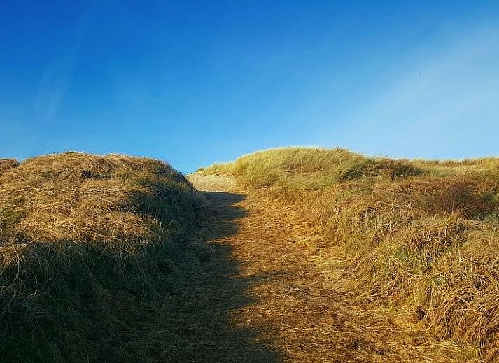 Unterkunft 4504185 - Ferienhaus Noordzeekust - Buitenplaats 113 Callantsoog