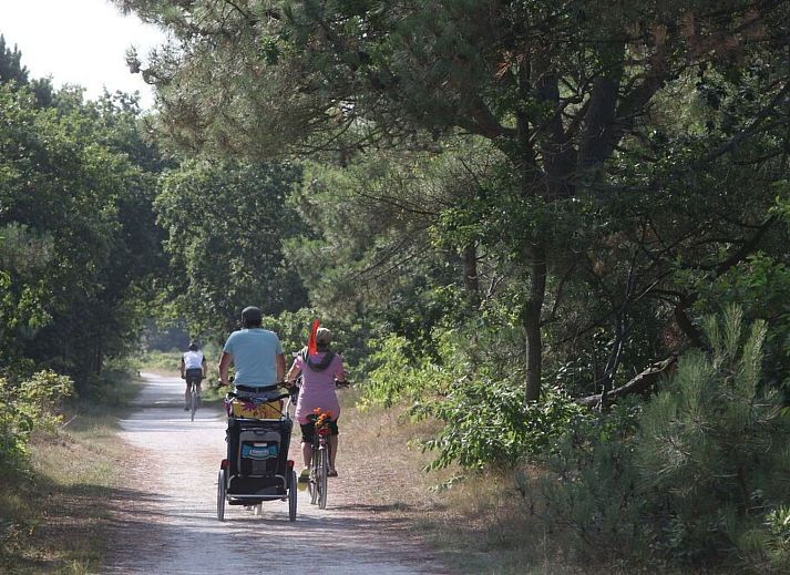 Verblijf 4504190 - Vakantiewoning Noordzeekust - Vakantiehuis De Blenck 66