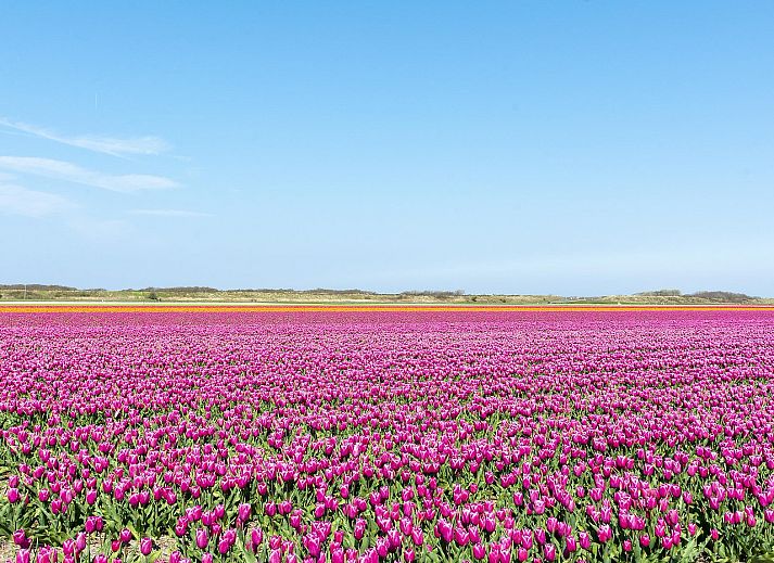 Gemuetliches Wohnzimmer im Ferienhaus Buitenplaats 145 Callantsoog mit Kamin und Sofas.