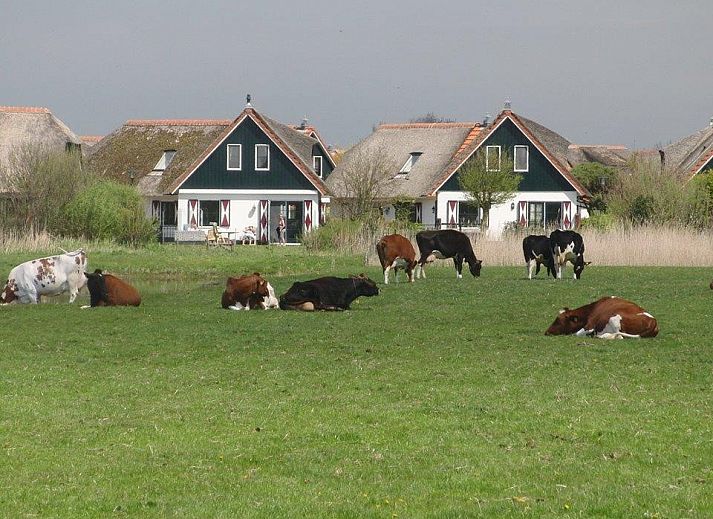Gezellige woonkamer van Buitenplaats 062 Callantsoog vakantiehuis in Noord-Holland.