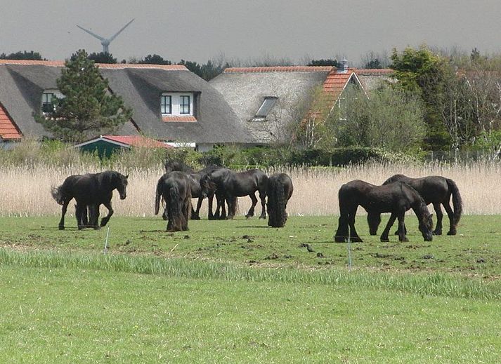 Stijlvolle zithoek in Buitenplaats 062 Callantsoog vakantiehuis aan de Noordzeekust.