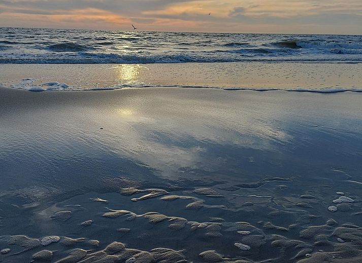 Stijlvolle zithoek in Buitenplaats 062 Callantsoog vakantiehuis aan de Noordzeekust.