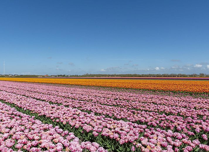 Entrance to Stuijvezandeweg 7Z Callantsoog vacation home on the North Sea coast North Holland.