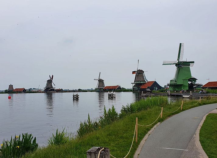 Guest house 4504208 - Holiday property Noordzeekust - Vakantiehuis CS 63 - Vakantiepark Callassande 4p