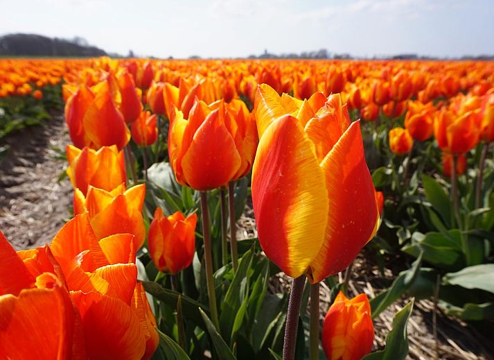 Lichte en ruime woonkamer in vakantiehuis Wijde Blick 212 Callantsoog, Noord-Holland.
