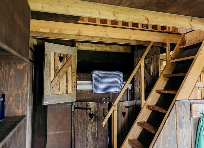 Unterkunft 4504232 - Ferienhaus Noordzeekust - Wood Lodge