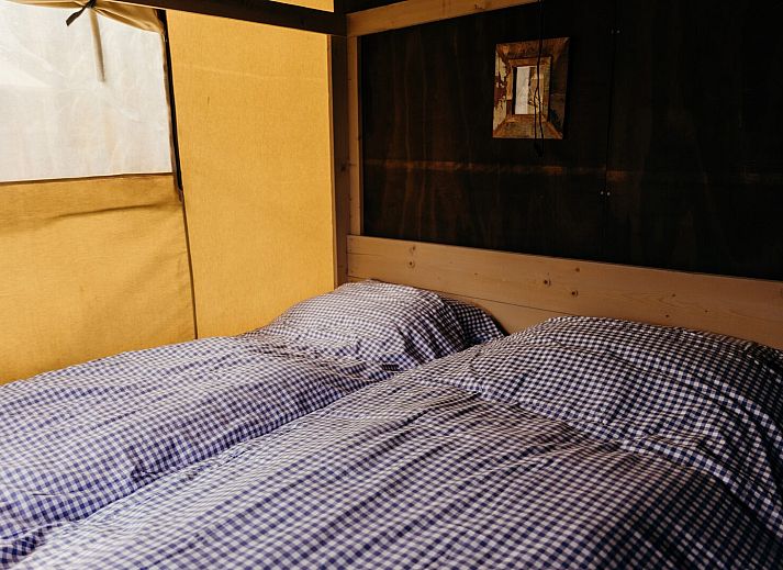 Unterkunft 4504232 - Ferienhaus Noordzeekust - Wood Lodge