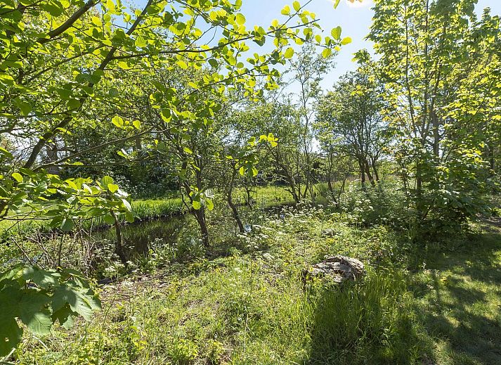 Unterkunft 4504275 - Ferienhaus Noordzeekust - Previnaireweg 34