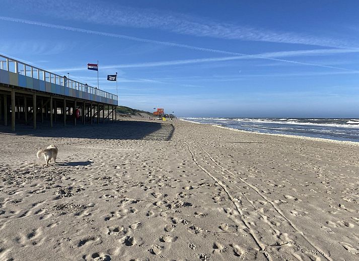 Unterkunft 4504277 - Ferienhaus Noordzeekust - Beach Appartement 28