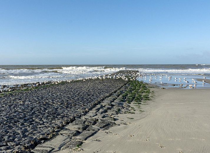 Guest house 4504309 - Holiday property Noordzeekust - Wijde Blick 311