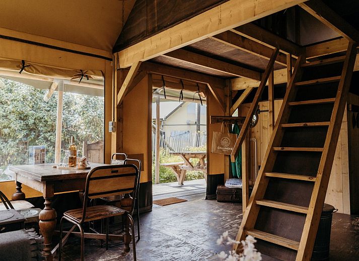 Unterkunft 4504312 - Ferienhaus Noordzeekust - Beach Lodge