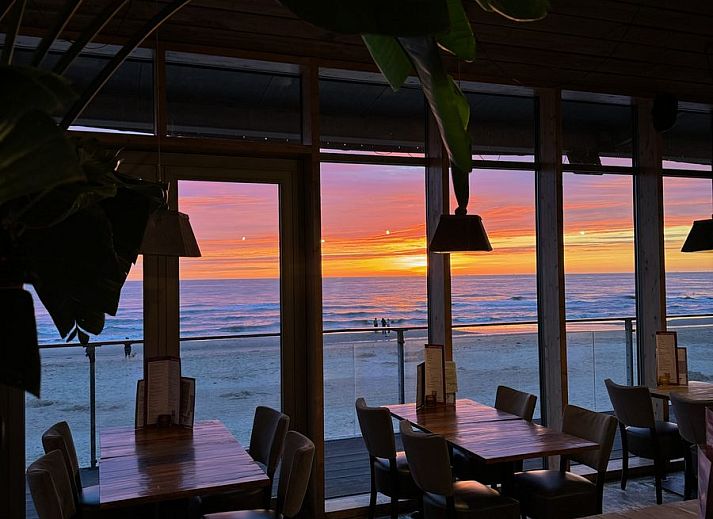 Unterkunft 4504312 - Ferienhaus Noordzeekust - Beach Lodge