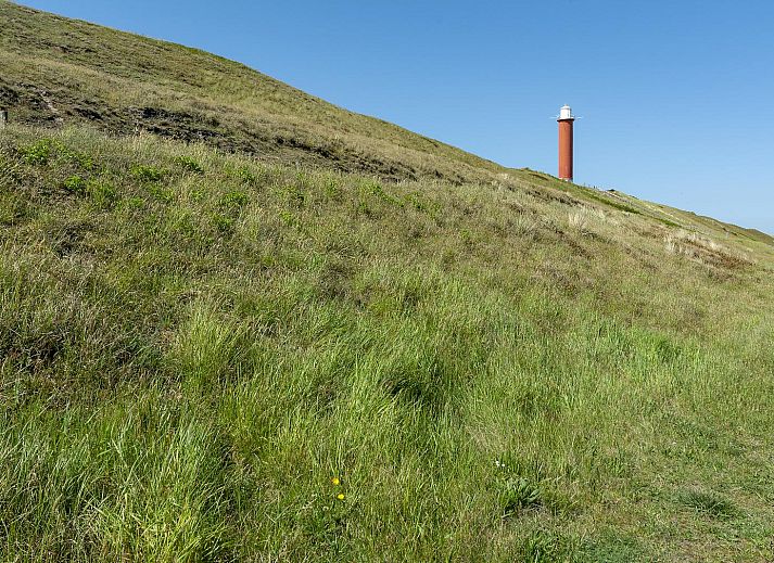 Unterkunft 4504319 - Ferienhaus Noordzeekust - Beach Appartement 04