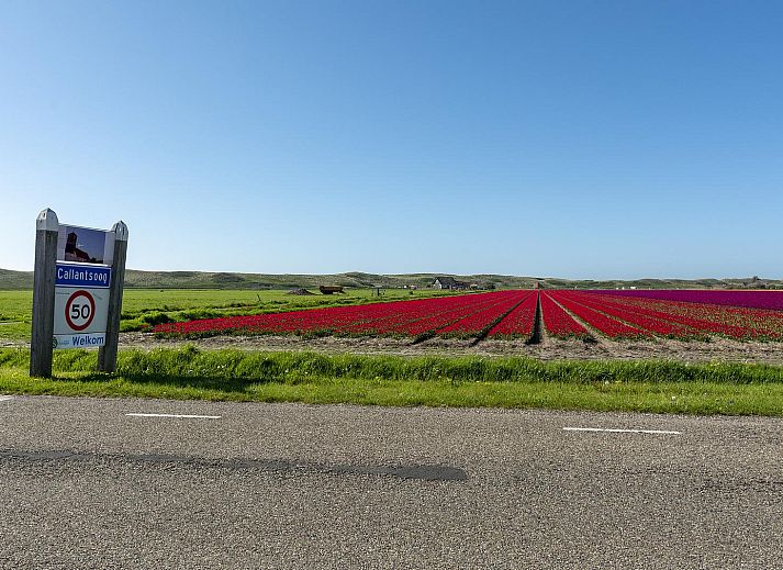 Unterkunft 4504319 - Ferienhaus Noordzeekust - Beach Appartement 04