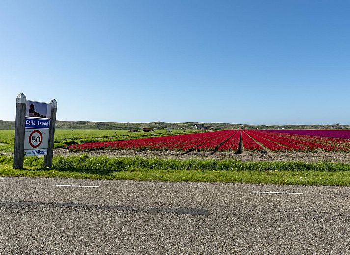 Guest house 4504320 - Holiday property Noordzeekust - Beach Appartement 05