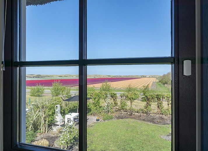 Unterkunft 4504321 - Ferienhaus Noordzeekust - De Buitenplaats 113