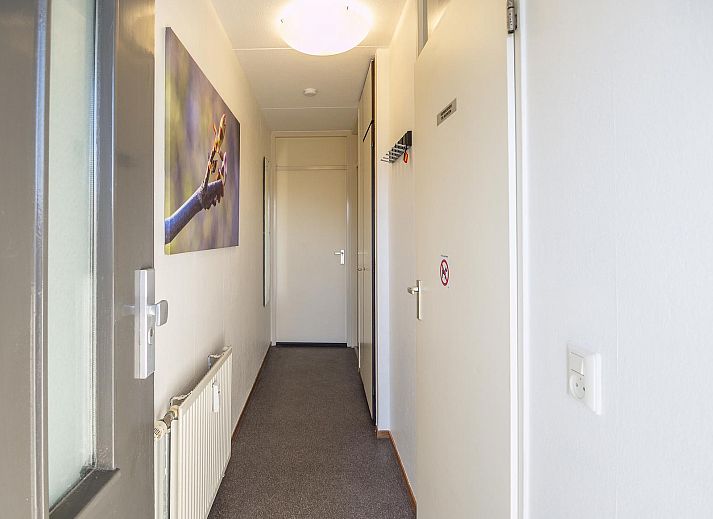 Verblijf 4504328 - Vakantiewoning Noordzeekust - Beach Appartement 03