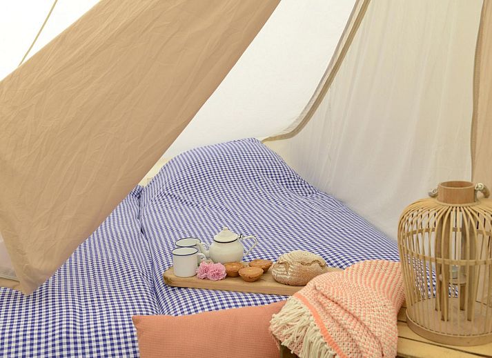 Unterkunft 4504330 - Ferienhaus Noordzeekust - Tipitent de Jutter