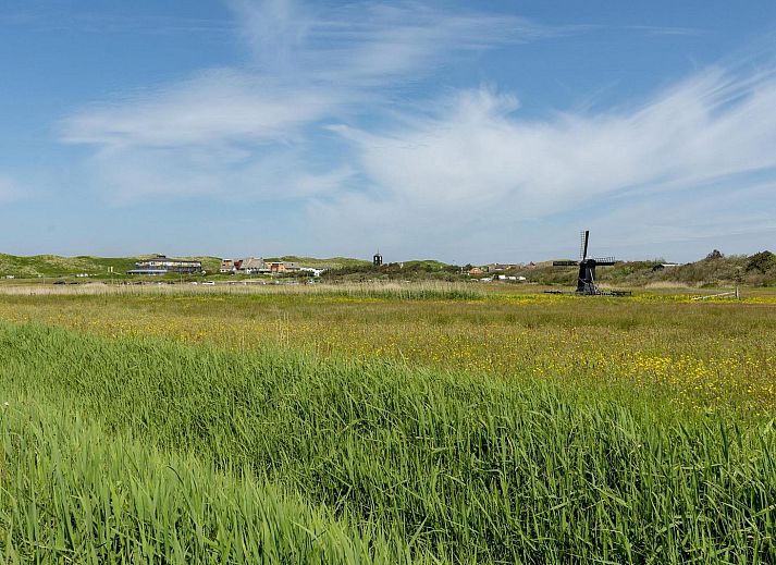 Unterkunft 4504332 - Ferienhaus Noordzeekust - Garnekuul 81