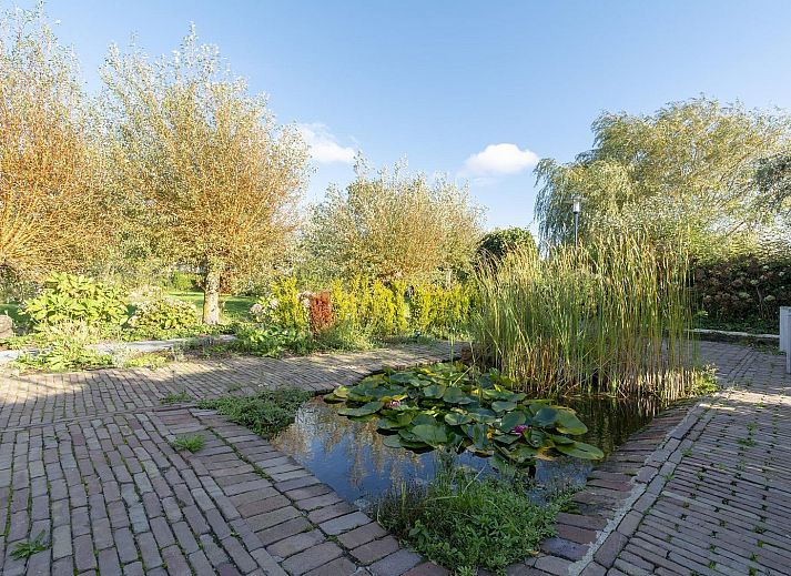 Guest house 4504333 - Holiday property Noordzeekust - De Buitenplaats 89